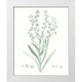 thumbnail image 1 of Vision Studio  12x14 White Modern Wood Framed Museum Art Print Titled - Botanical Study in Sage I, 1 of 4