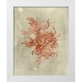 thumbnail image 1 of Vision Studio 12x14 White Modern Wood Framed Museum Art Print Titled - Coral in Terra Cotta, 1 of 4