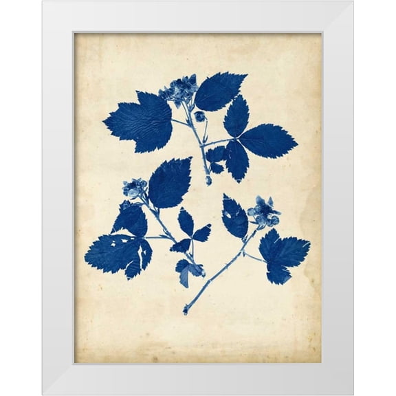 Vision Studio 12x14 White Modern Wood Framed Museum Art Print Titled - Indigo Leaf Study VI