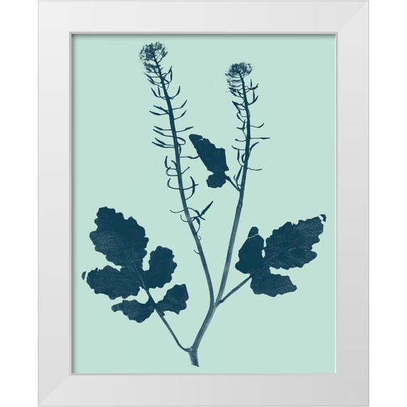 Vision Studio 12x14 White Modern Wood Framed Museum Art Print Titled - Indigo and Mint Botanical Study I