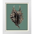 thumbnail image 1 of Vision Studio 12x14 White Modern Wood Framed Museum Art Print Titled - Oceans Treasure V, 1 of 4