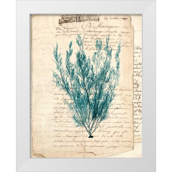Vision Studio 12x14 White Modern Wood Framed Museum Art Print Titled - Vintage Teal Seaweed VII