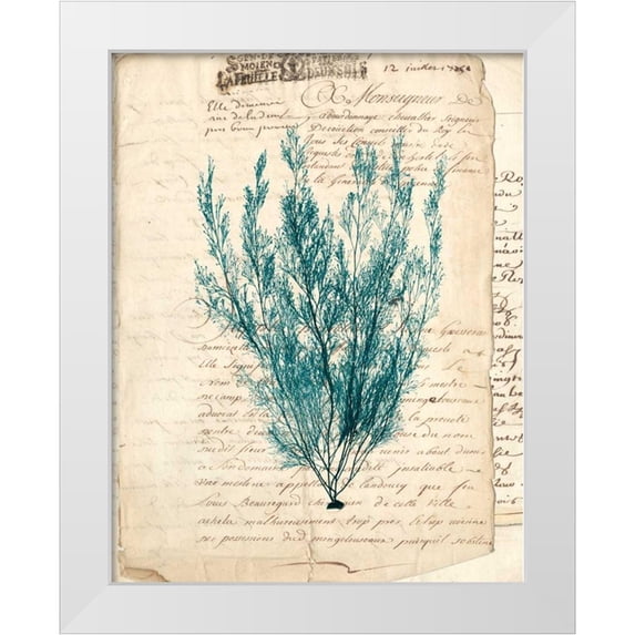 Vision Studio 12x14 White Modern Wood Framed Museum Art Print Titled - Vintage Teal Seaweed VII
