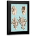 thumbnail image 1 of Vision Studio 12x18 Black Modern Framed Museum Art Print Titled - Sepia And Aqua Shells VII, 1 of 5
