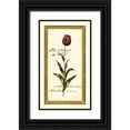 thumbnail image 1 of Vision Studio 12x18 Black Ornate Wood Framed with Double Matting Museum Art Print Titled - Jens Tulip II, 1 of 4