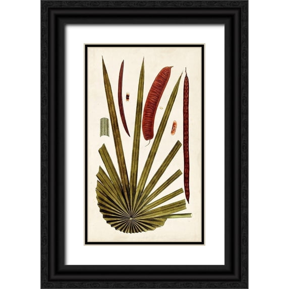 Vision Studio 12x18 Black Ornate Wood Framed with Double Matting Museum Art Print Titled - Leaf Varieties VI