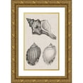 thumbnail image 1 of Vision Studio 12x18 Gold Ornate Wood Framed with Double Matting Museum Art Print Titled - Charcoal and Linen Shells V, 1 of 4