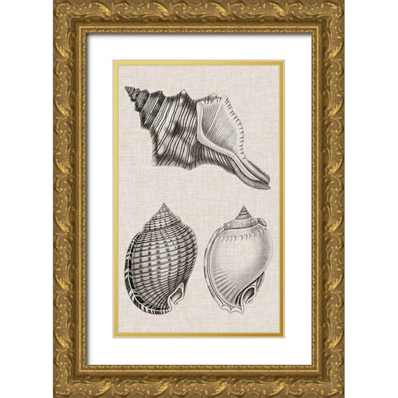 Vision Studio 12x18 Gold Ornate Wood Framed with Double Matting Museum Art Print Titled - Charcoal and Linen Shells V