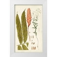 thumbnail image 1 of Vision Studio 12x18 White Modern Wood Framed Museum Art Print Titled - Leaf Varieties VII, 1 of 4