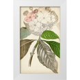 thumbnail image 1 of Vision Studio  12x18 White Modern Wood Framed Museum Art Print Titled - Silvery Botanicals V, 1 of 4