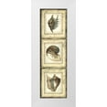 thumbnail image 1 of Vision Studio 12x32 White Modern Wood Framed Museum Art Print Titled - Mini Rustic Shell Panel II, 1 of 4