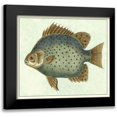 thumbnail image 1 of Vision Studio 13x12 Black Modern Framed Museum Art Print Titled - Butterfly Fish II, 1 of 5