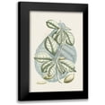 thumbnail image 1 of Vision Studio 13x18 Black Modern Framed Museum Art Print Titled - Buchoz Tropicals VI, 1 of 5