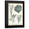 thumbnail image 1 of Vision Studio 13x18 Black Modern Framed Museum Art Print Titled - Coral Species II, 1 of 5