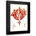 thumbnail image 1 of Vision Studio 13x18 Black Modern Framed Museum Art Print Titled - Striking Seaweed II, 1 of 5