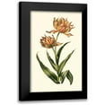 thumbnail image 1 of Vision Studio 13x18 Black Modern Framed Museum Art Print Titled - Vintage Tulips III, 1 of 5