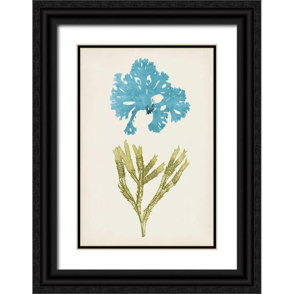 Vision Studio 13x18 Black Ornate Wood Framed with Double Matting Museum Art Print Titled - Aqua and Citron Coral III