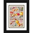thumbnail image 1 of Vision Studio  13x18 Black Ornate Wood Framed with Double Matting Museum Art Print Titled - Fruit Chart, 1 of 4