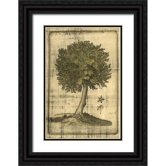 Vision Studio 13x18 Black Ornate Wood Framed with Double Matting Museum Art Print Titled - Printed Fruitful Realm I