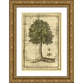 thumbnail image 1 of Vision Studio 13x18 Gold Ornate Wood Framed with Double Matting Museum Art Print Titled - Printed Fruitful Realm II, 1 of 4