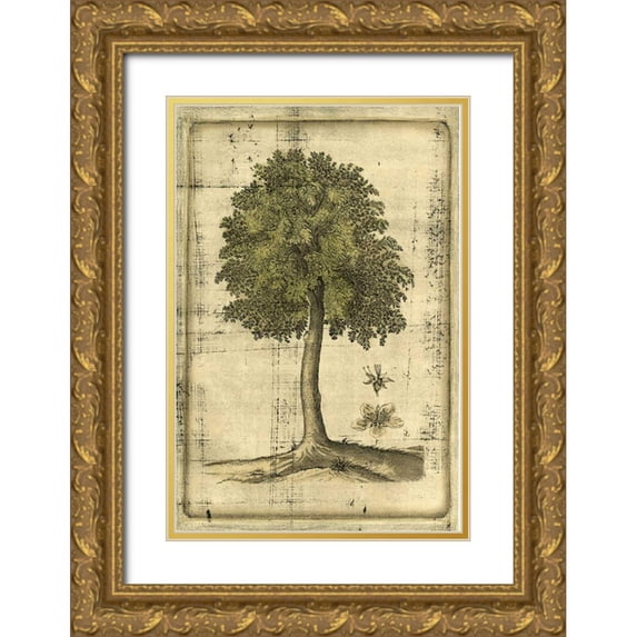 Vision Studio 13x18 Gold Ornate Wood Framed with Double Matting Museum Art Print Titled - Printed Fruitful Realm II