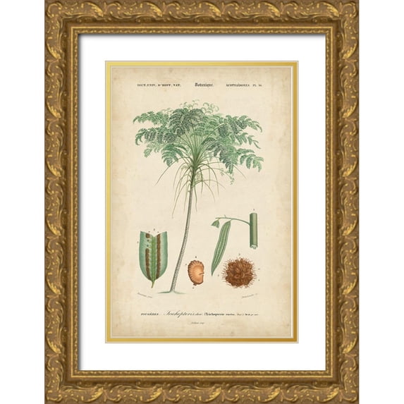 Vision Studio 13x18 Gold Ornate Wood Framed with Double Matting Museum Art Print Titled - Tropical Botanique IV