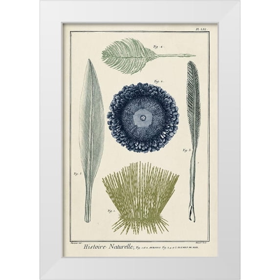 Vision Studio 13x18 White Modern Wood Framed Museum Art Print Titled - Custom Ocean Oddity II
