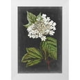 thumbnail image 1 of Vision Studio  13x18 White Modern Wood Framed Museum Art Print Titled - Dramatic White Flowers III, 1 of 4
