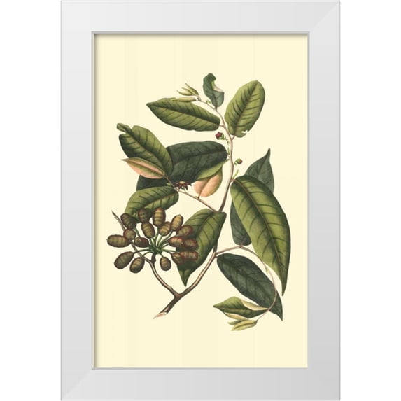Vision Studio 13x18 White Modern Wood Framed Museum Art Print Titled - Flourishing Foliage III