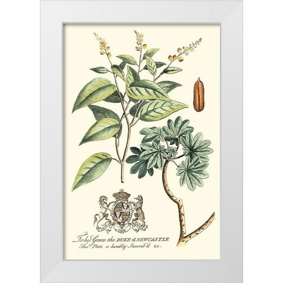 Vision Studio 13x18 White Modern Wood Framed Museum Art Print Titled - Imperial Foliage IV