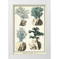 thumbnail image 1 of Vision Studio 13x18 White Modern Wood Framed Museum Art Print Titled - Oversize Coral Species III, 1 of 4