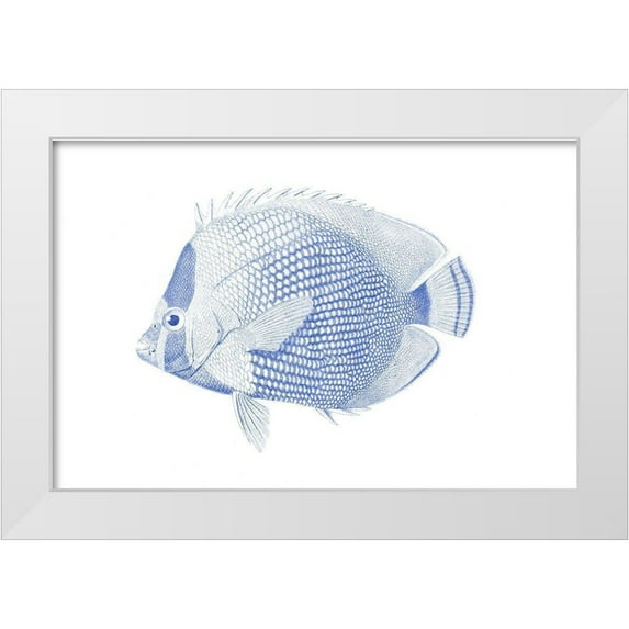 Vision Studio 14x11 White Modern Wood Framed Museum Art Print Titled - Blue And White Tropical Fish VI
