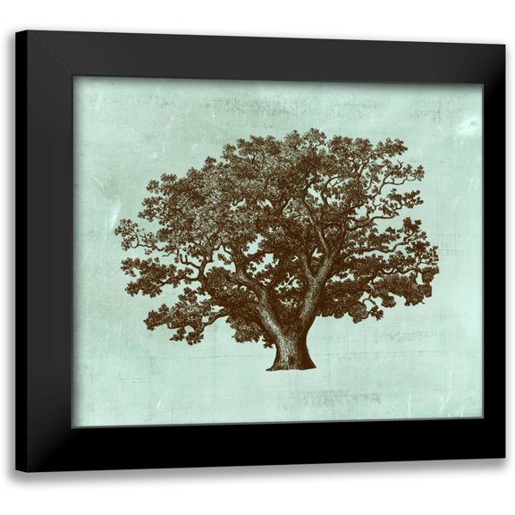 Vision Studio 14x12 Black Modern Framed Museum Art Print Titled - Spa Tree IV