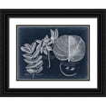 thumbnail image 1 of Vision Studio 14x12 Black Ornate Wood Framed with Double Matting Museum Art Print Titled - Foliage on Navy I, 1 of 4