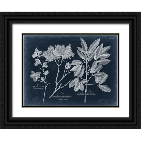 Vision Studio 14x12 Black Ornate Wood Framed with Double Matting Museum Art Print Titled - Foliage on Navy VI