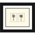 thumbnail image 1 of Vision Studio 14x12 Black Ornate Wood Framed with Double Matting Museum Art Print Titled - Miniature Palm II, 1 of 4