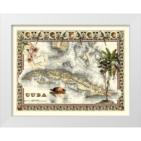 Vision Studio 14x12 White Modern Wood Framed Museum Art Print Titled - Tropical Map of Cuba