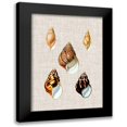 thumbnail image 1 of Vision Studio 14x18 Black Modern Framed Museum Art Print Titled - Antique Shells on Linen II, 1 of 5