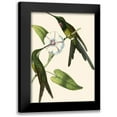 thumbnail image 1 of Vision Studio 14x18 Black Modern Framed Museum Art Print Titled - Delicate Hummingbird III, 1 of 5