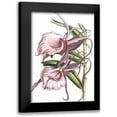 thumbnail image 1 of Vision Studio 14x18 Black Modern Framed Museum Art Print Titled - Lilac Orchid IV, 1 of 5