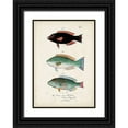 thumbnail image 1 of Vision Studio 14x18 Black Ornate Wood Framed with Double Matting Museum Art Print Titled - Antique Fish Trio IV, 1 of 4