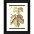 thumbnail image 1 of Vision Studio 14x18 Black Ornate Wood Framed with Double Matting Museum Art Print Titled - Cropped Sepia Botanical III, 1 of 4