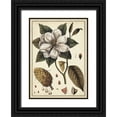 thumbnail image 1 of Vision Studio 14x18 Black Ornate Wood Framed with Double Matting Museum Art Print Titled - Ivory Botanical Study I, 1 of 4