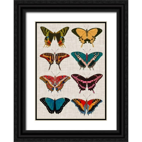 Vision Studio 14x18 Black Ornate Wood Framed with Double Matting Museum Art Print Titled - Polychrome Butterflies I
