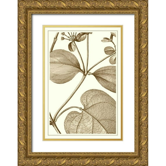 Vision Studio 14x18 Gold Ornate Wood Framed with Double Matting Museum Art Print Titled - Cropped Sepia Botanical V