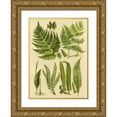thumbnail image 1 of Vision Studio 14x18 Gold Ornate Wood Framed with Double Matting Museum Art Print Titled - Fern Collection I, 1 of 4