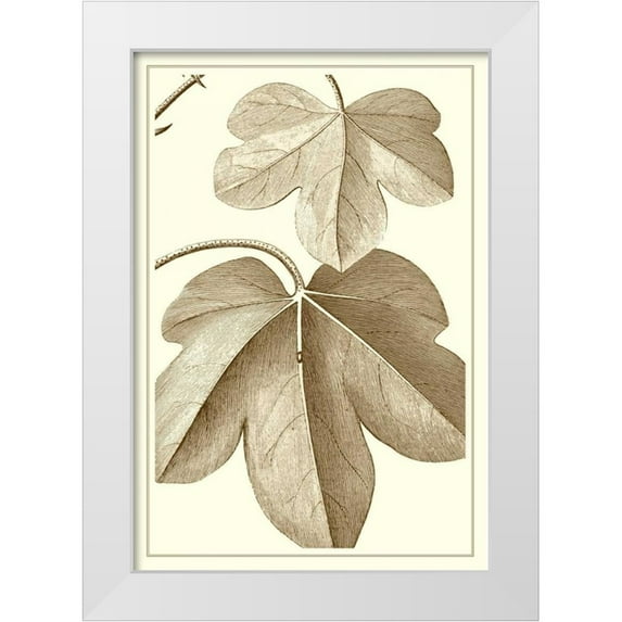 Vision Studio 14x18 White Modern Wood Framed Museum Art Print Titled - Cropped Sepia Botanical III