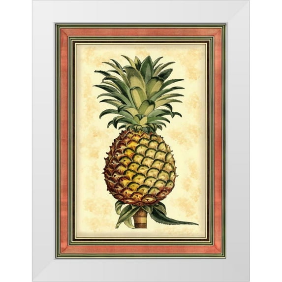 Vision Studio 14x18 White Modern Wood Framed Museum Art Print Titled - Pineapple Splendor II