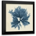 thumbnail image 1 of Vision Studio 15x15 Black Modern Framed Museum Art Print Titled - Coastal Seaweed V, 1 of 5