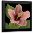 thumbnail image 1 of Vision Studio 15x15 Black Modern Framed Museum Art Print Titled - Dramatic Tropical Vision II, 1 of 5